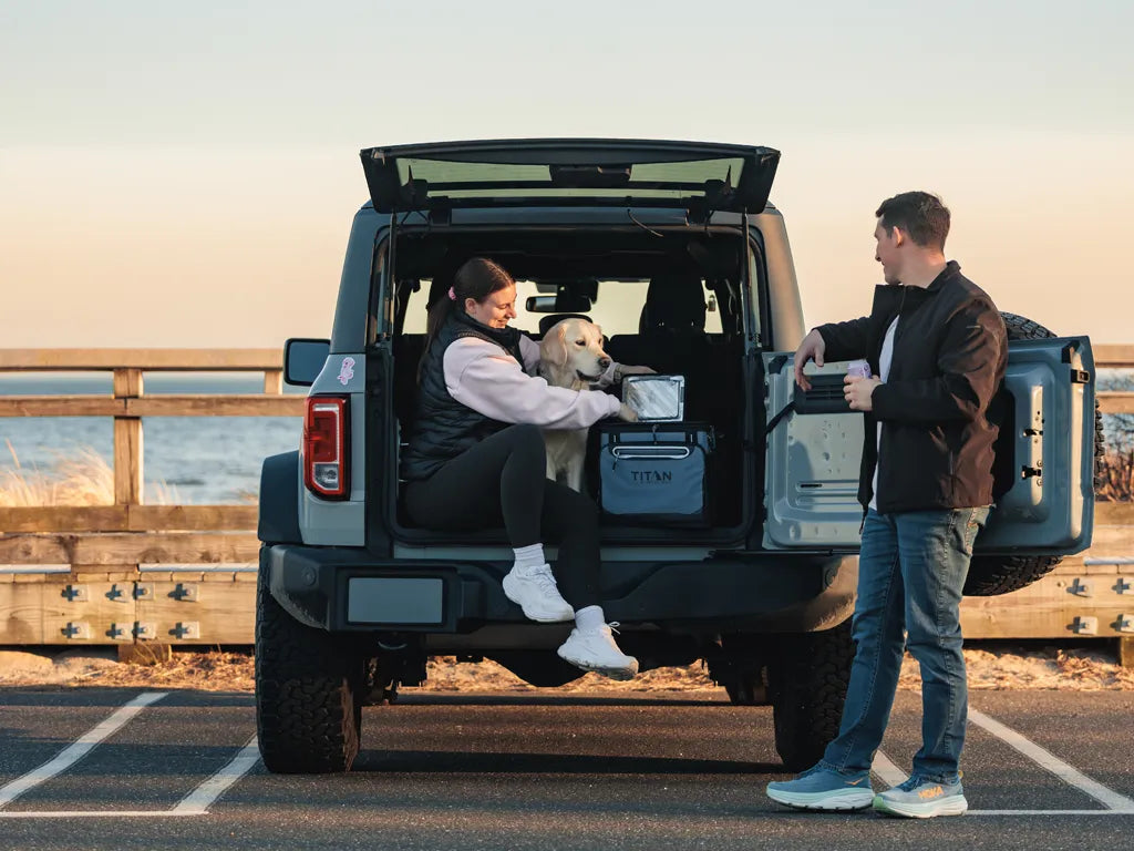 A couple with their dog enjoying a snack out of the trunk of their vehicle