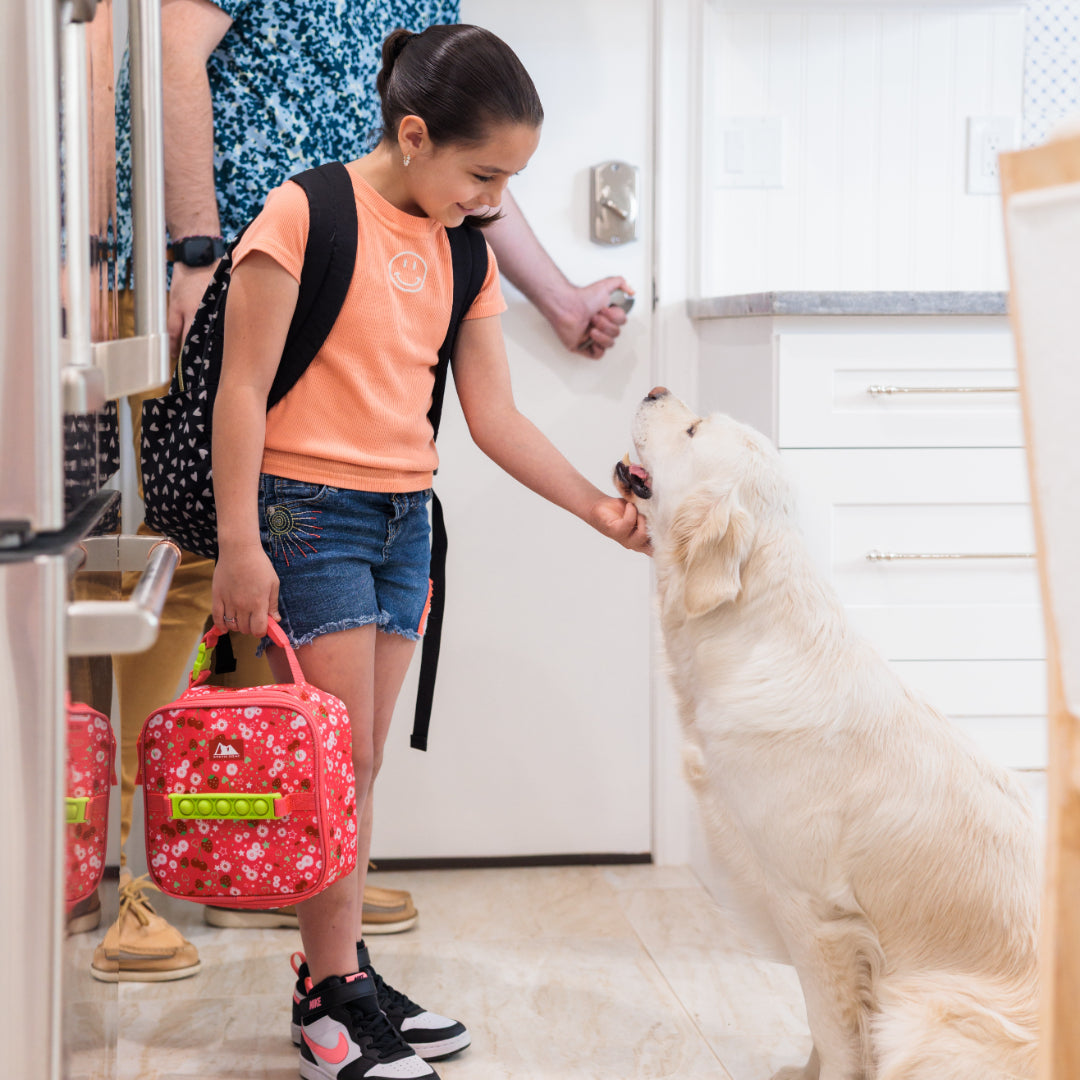 Push & Pop Kids Lunch Box Combo