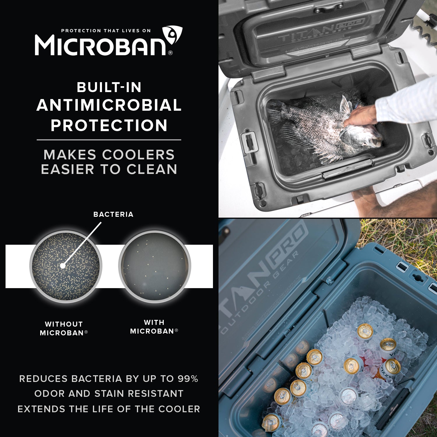 Titan PRO Outdoor Gear 55Q High Performance Roto Hard Cooler | Arctic Zone