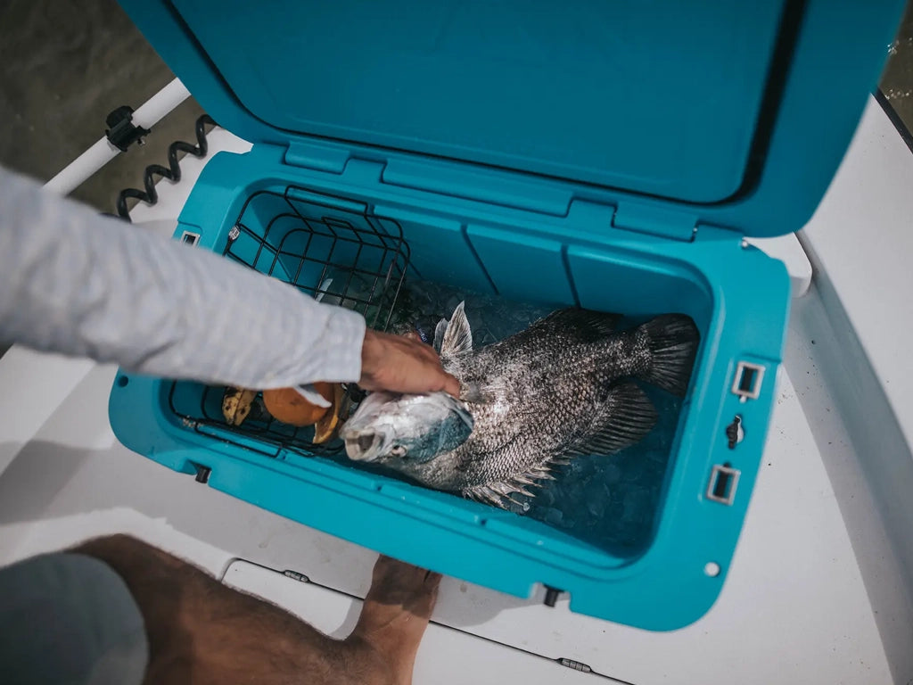 Person pulling out a fresh fish from a Titan Hard Cooler