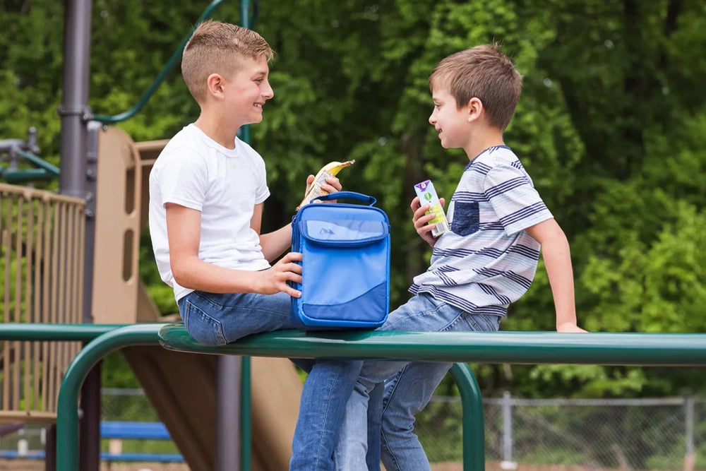 Two boys sitting on monkey bars while sharing a snack from their Arctic Zone lunch bag