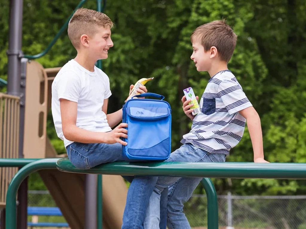 Two boys sitting on monkey bars while sharing a snack from their Arctic Zone lunch bag