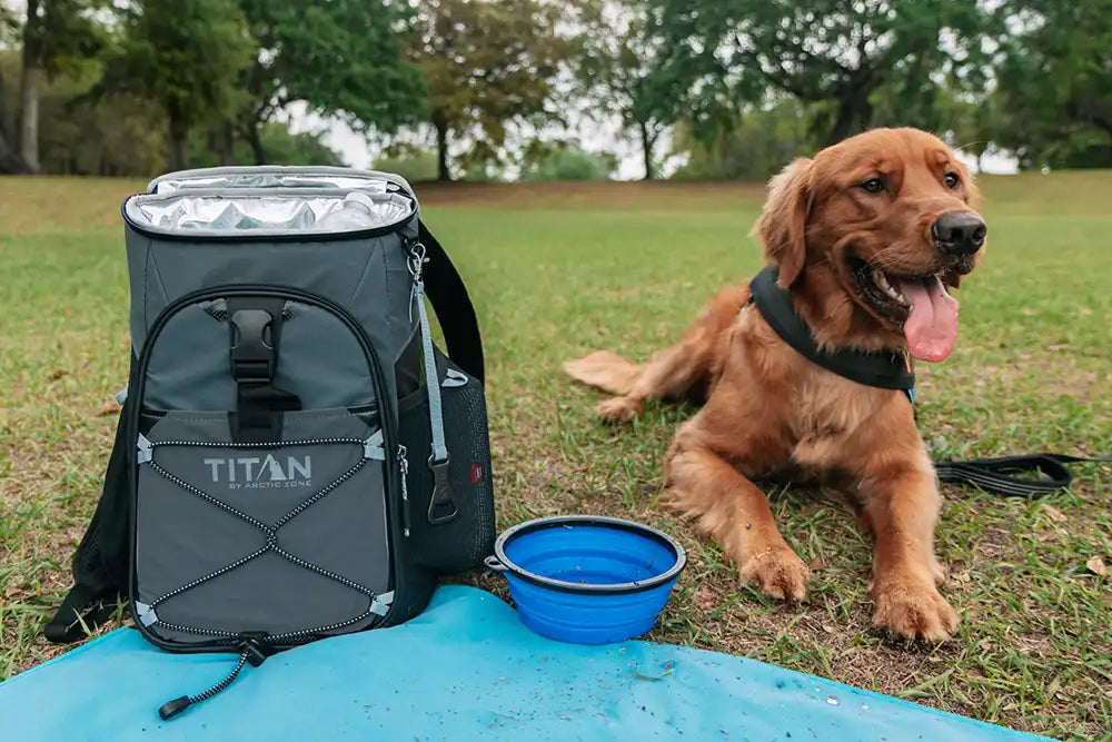 A dog next to a backpack cooler in the park