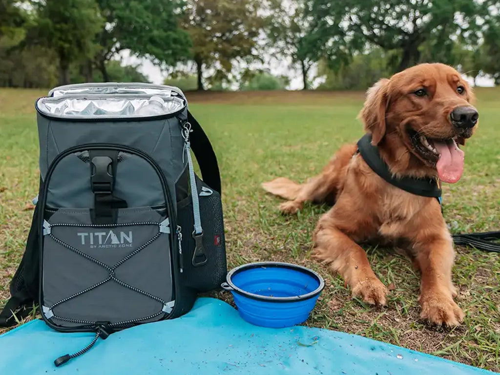 A dog next to a backpack cooler in the park