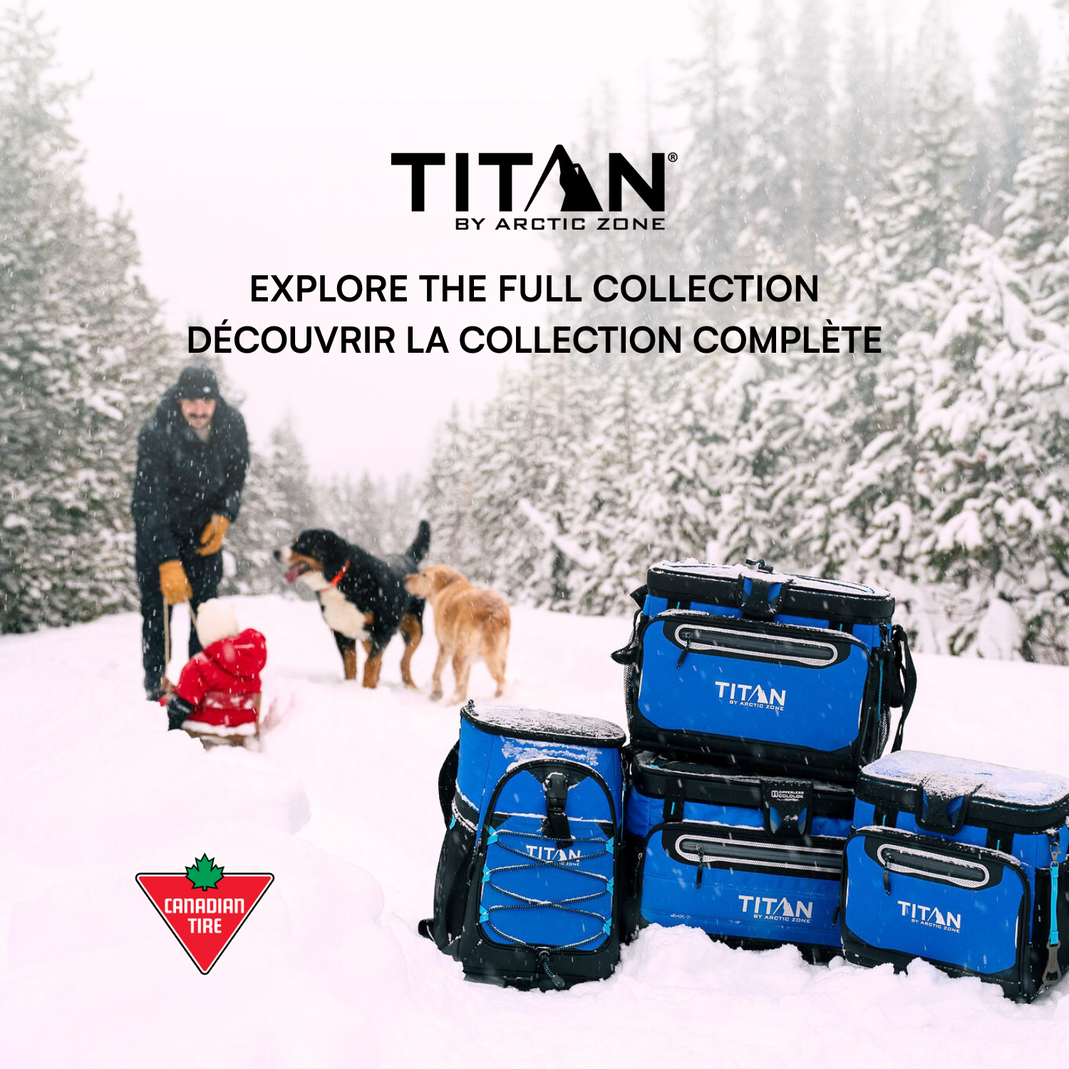 50 Can Collapsible Zipperless™ Cooler