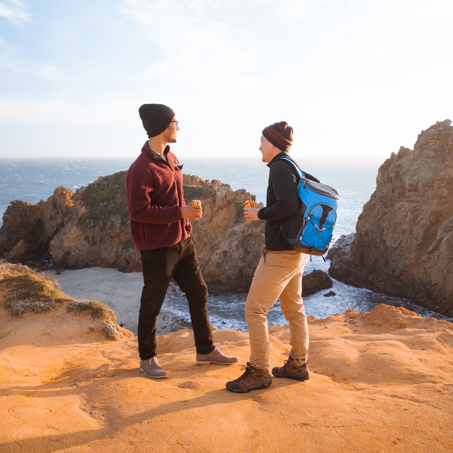 Beach backpack cooler best sale