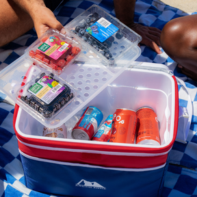 30 Can Zipperless™ Americana Cooler